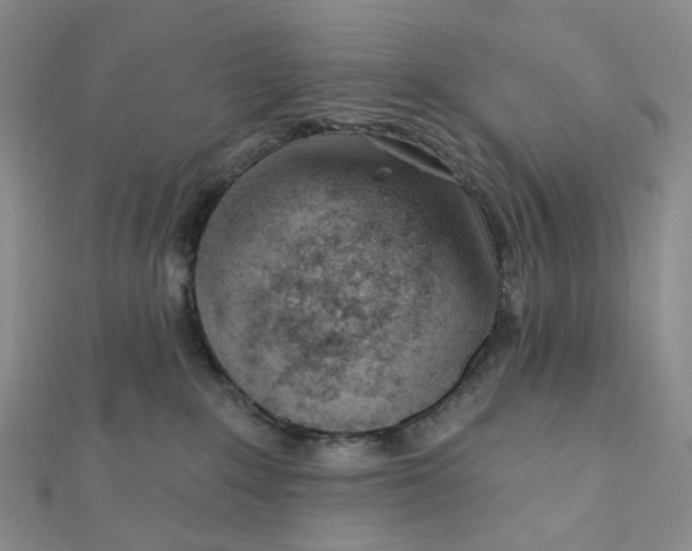 X0000112080235200908251112