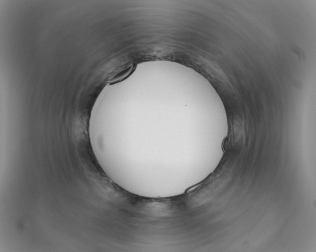 X0000112080236200908251112