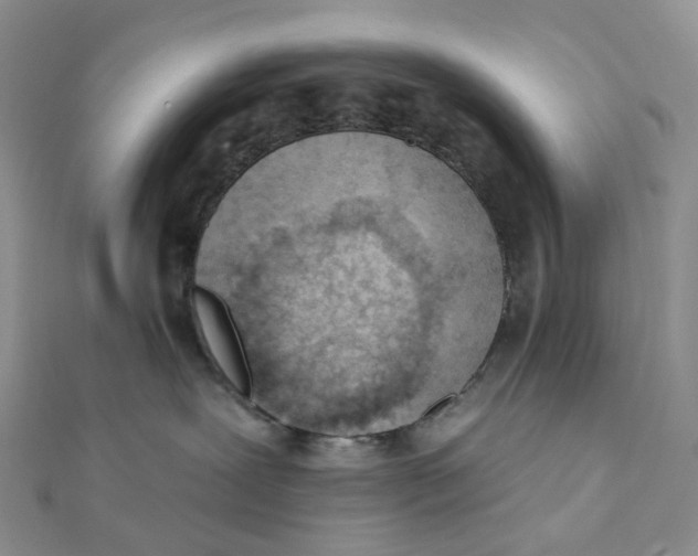 X0000112080239200908251112