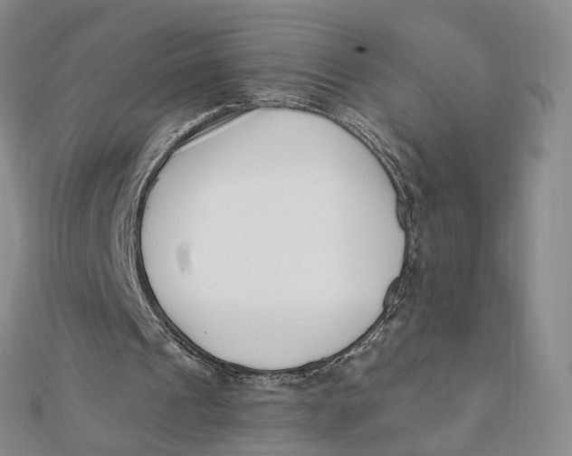 X0000112080241200908251111