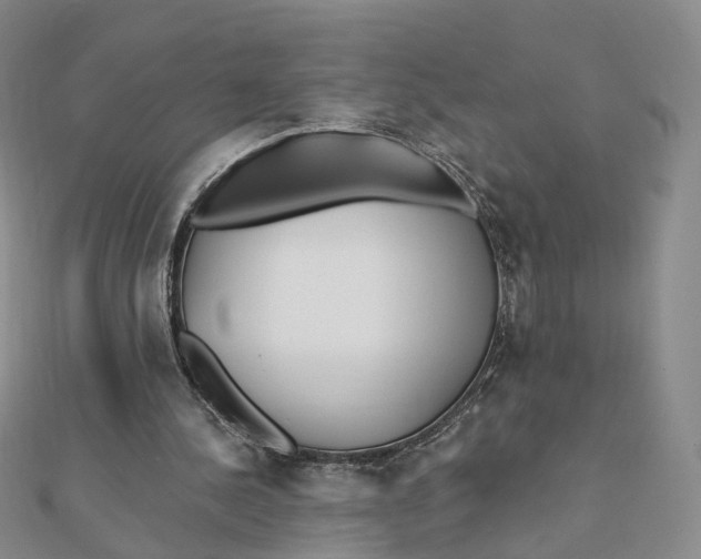 X0000112080244200908251111