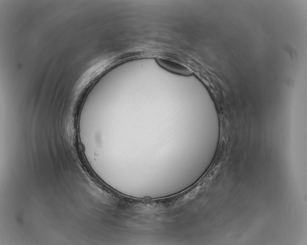X0000112080245200908251111