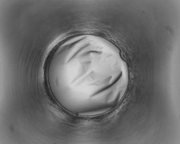 X0000112080246200908251111