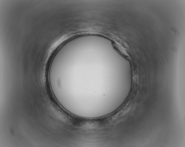 X0000112080248200908251111