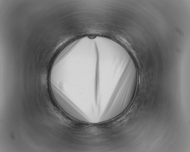 X0000112080249200908251111