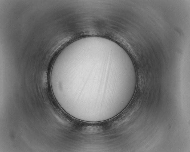 X0000112080251200908251111