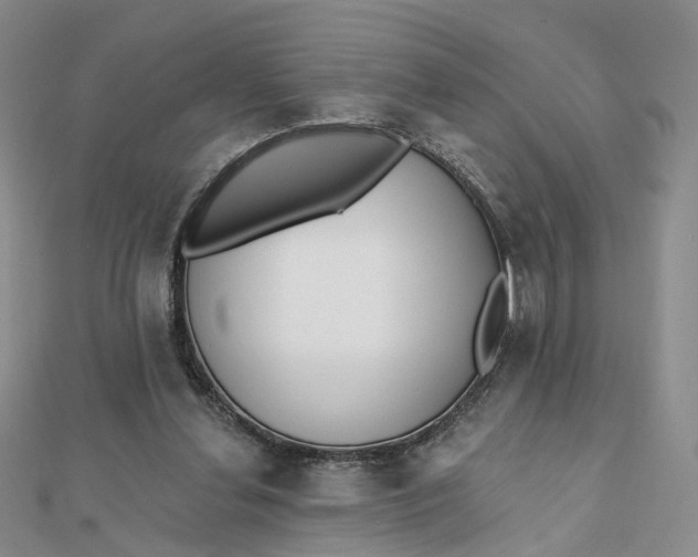 X0000112080252200908251111