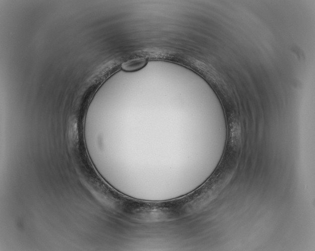 X0000112080254200908251111
