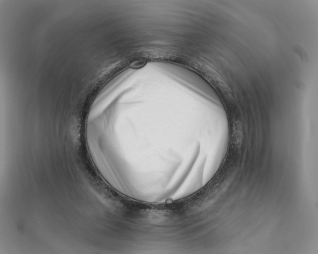 X0000112080255200908251111