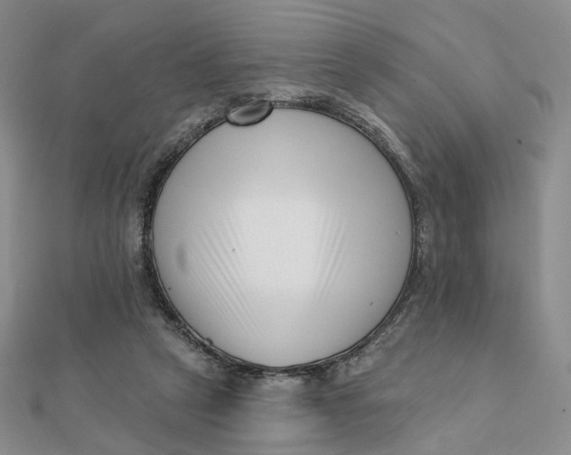 X0000112080257200908251111