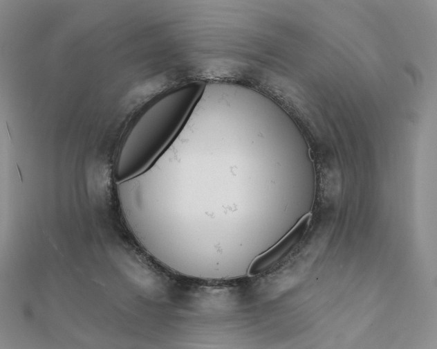 X0000112080260200908251111