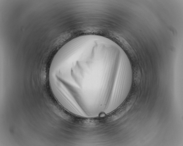 X0000112080261200908251111