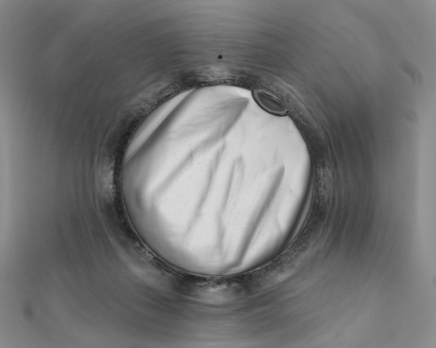 X0000112080267200908251111