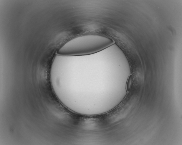 X0000112080268200908251111