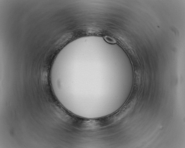 X0000112080269200908251111