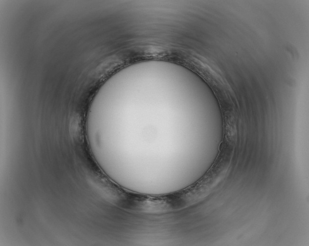 X0000112080270200908251111