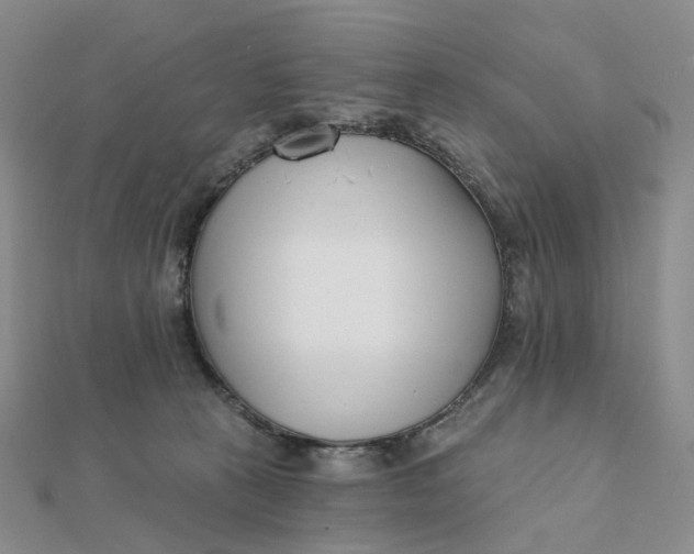 X0000112080273200908251111