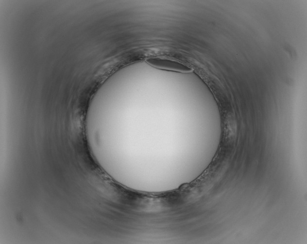 X0000112080276200908251112