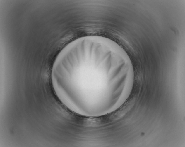 X0000112080277200908251112