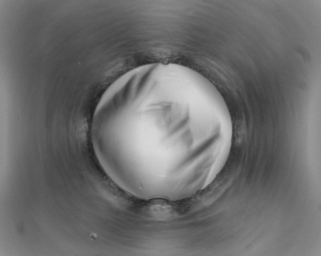 X0000112080279200908251112