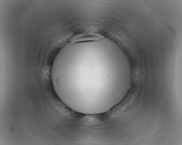 X0000112080280200908251112
