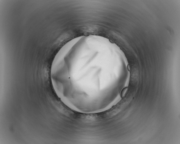 X0000112080282200908251112