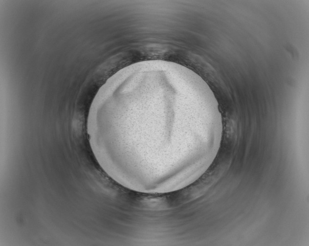 X0000112080283200908251112