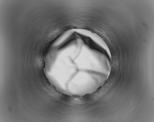X0000112080285200908251112