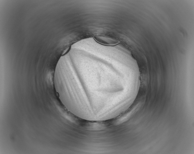 X0000112080286200908251112