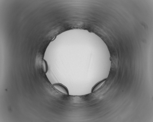 X0000112080287200908251112