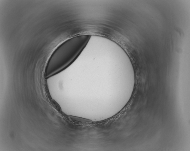 X0000112080289200908251111