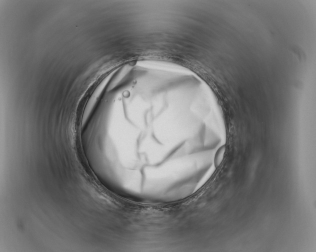 X0000112080290200908251111