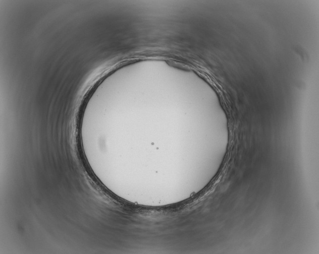X0000112080293200908251111