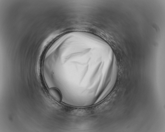 X0000112080294200908251111
