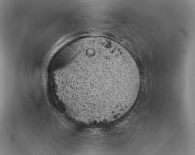 X0000112080295200908251111