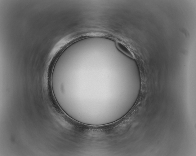 X0000112080296200908251111