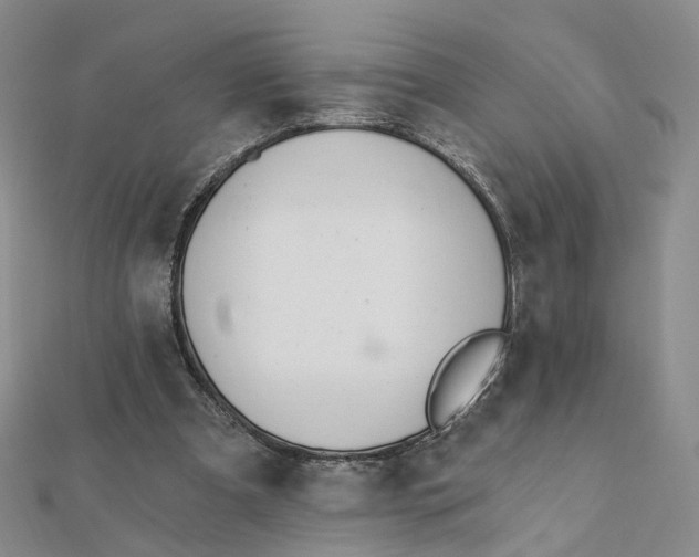 X0000112080297200908251111