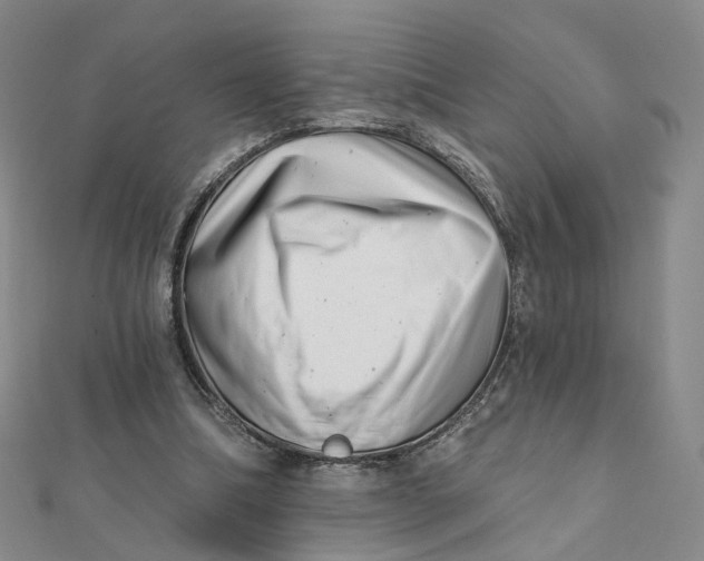 X0000112080298200908251111