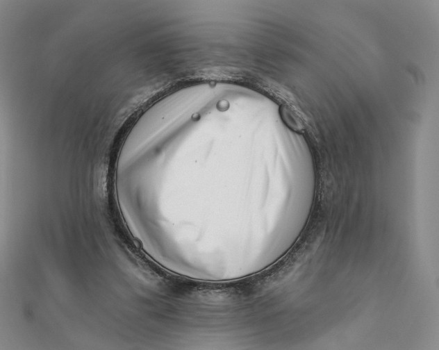 X0000112080299200908251111