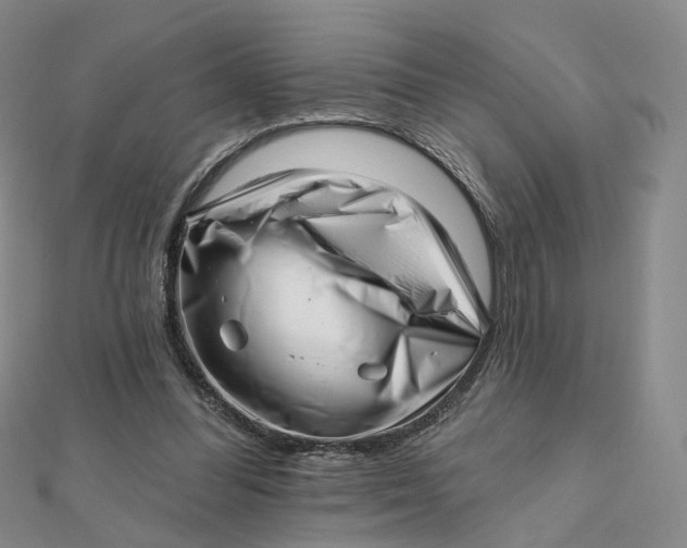 X0000112080300200908251111