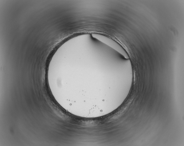 X0000112080301200908251111