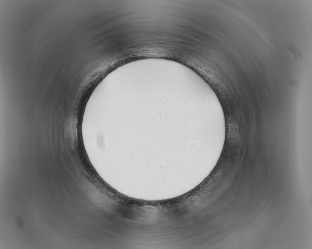 X0000112080302200908251111