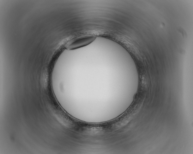X0000112080304200908251111