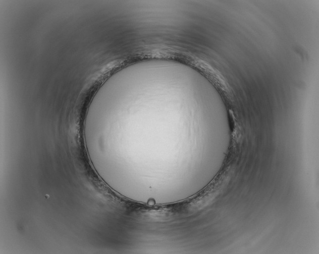X0000112080306200908251111