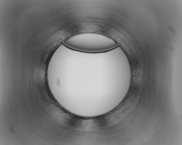 X0000112080309200908251111