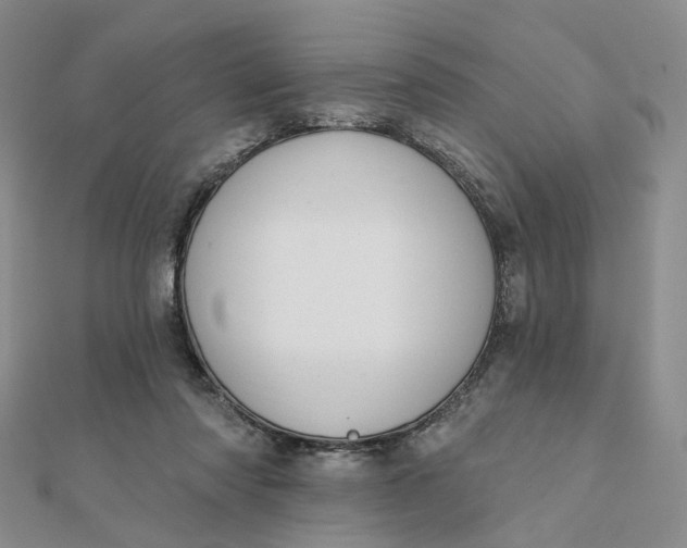X0000112080310200908251111