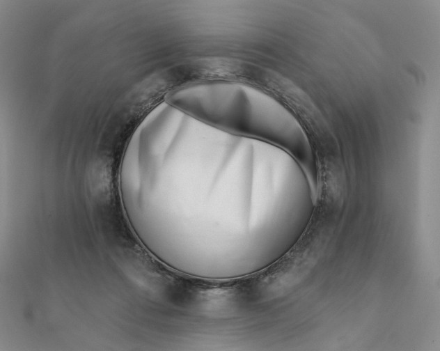 X0000112080312200908251111