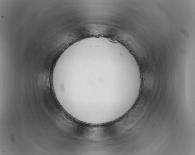 X0000112080313200908251111