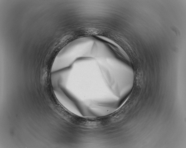 X0000112080314200908251111