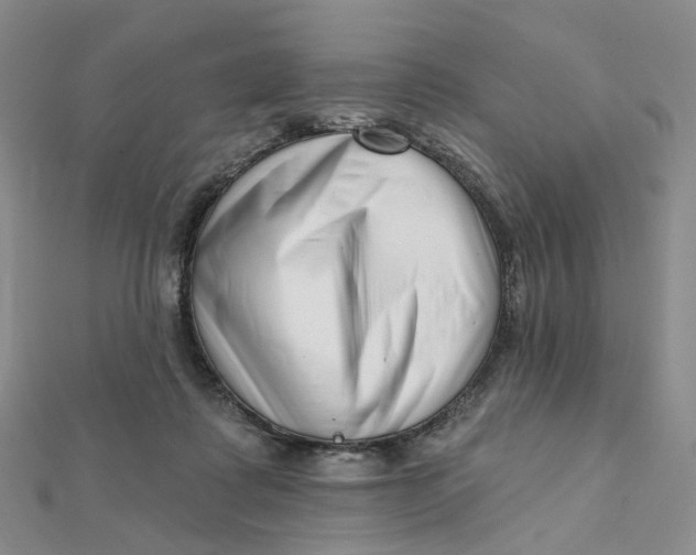 X0000112080315200908251111